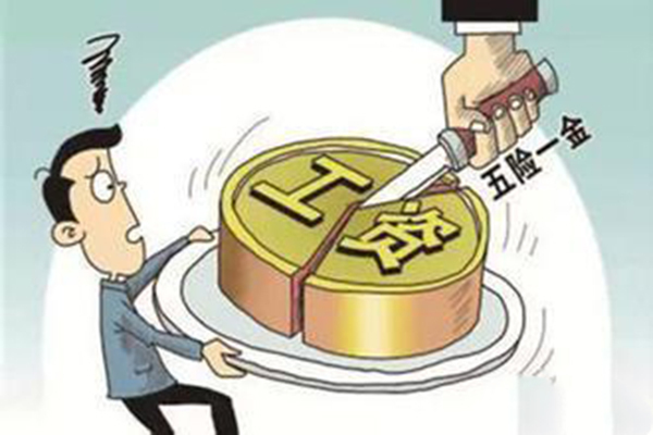 社会保险最新政策，构建公平可持续的社会保障体系