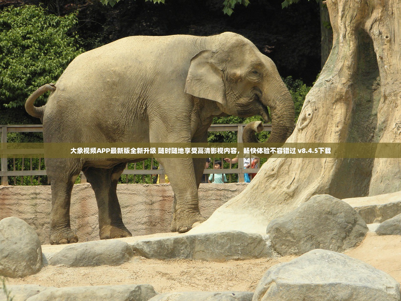 大象APP最新版，功能升级与用户体验革新亮相！