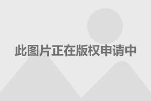 塑料制品制造 第167页