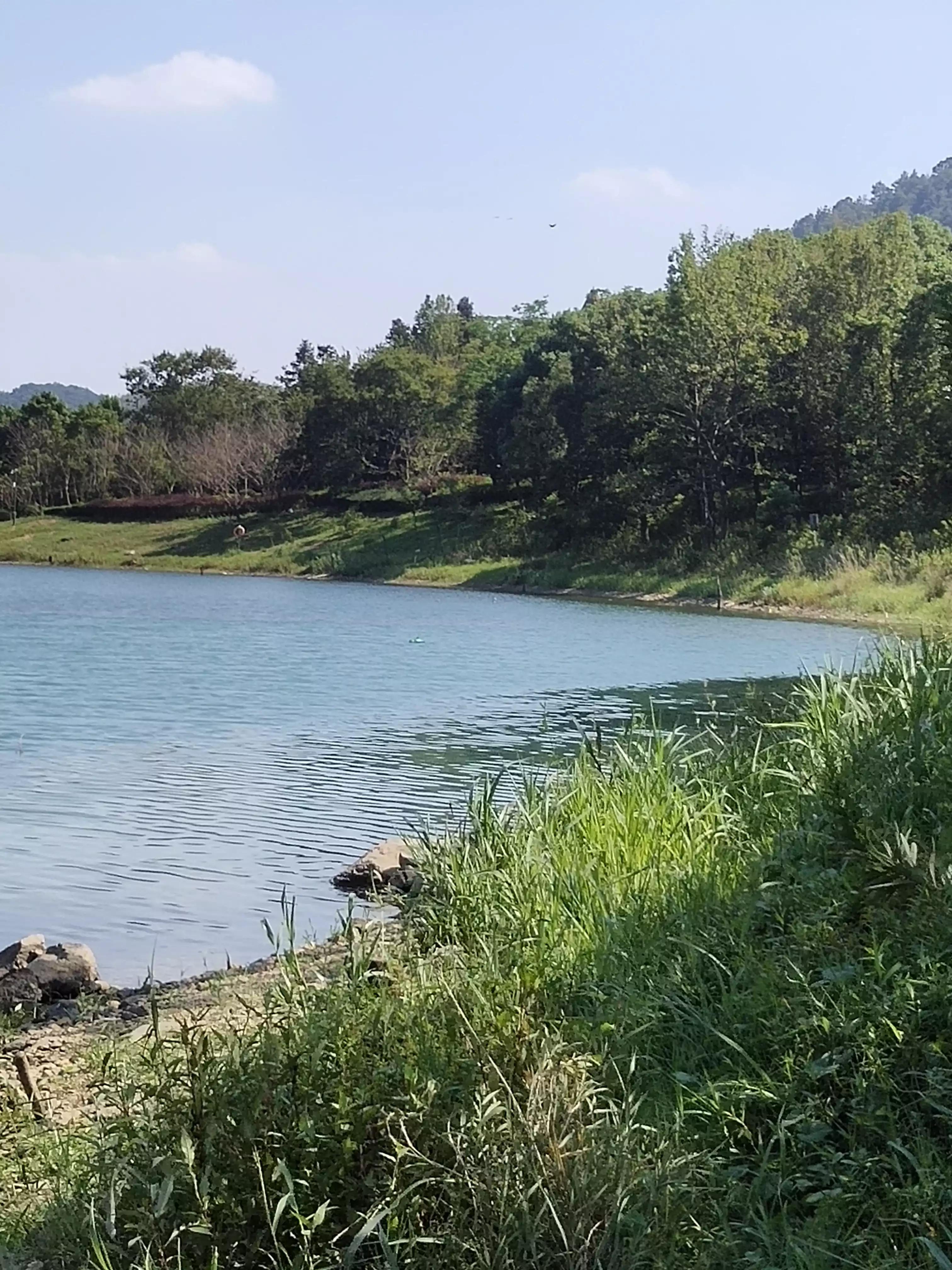 宁波九龙湖新篇章，最新动态揭秘湖泊新貌