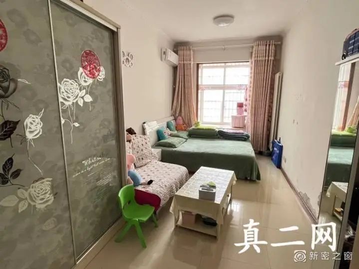 新密出租房信息最新概览