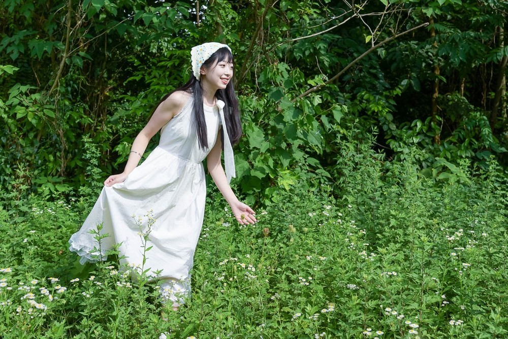 青青青草最新视频，自然之美的魅力流转与展现