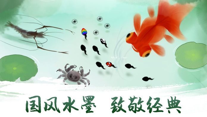 蝌蚪最新地址，一场探索与发现的冒险之旅