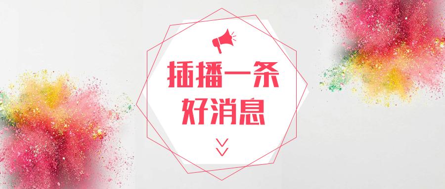 公务员面试最新题解及解析指南