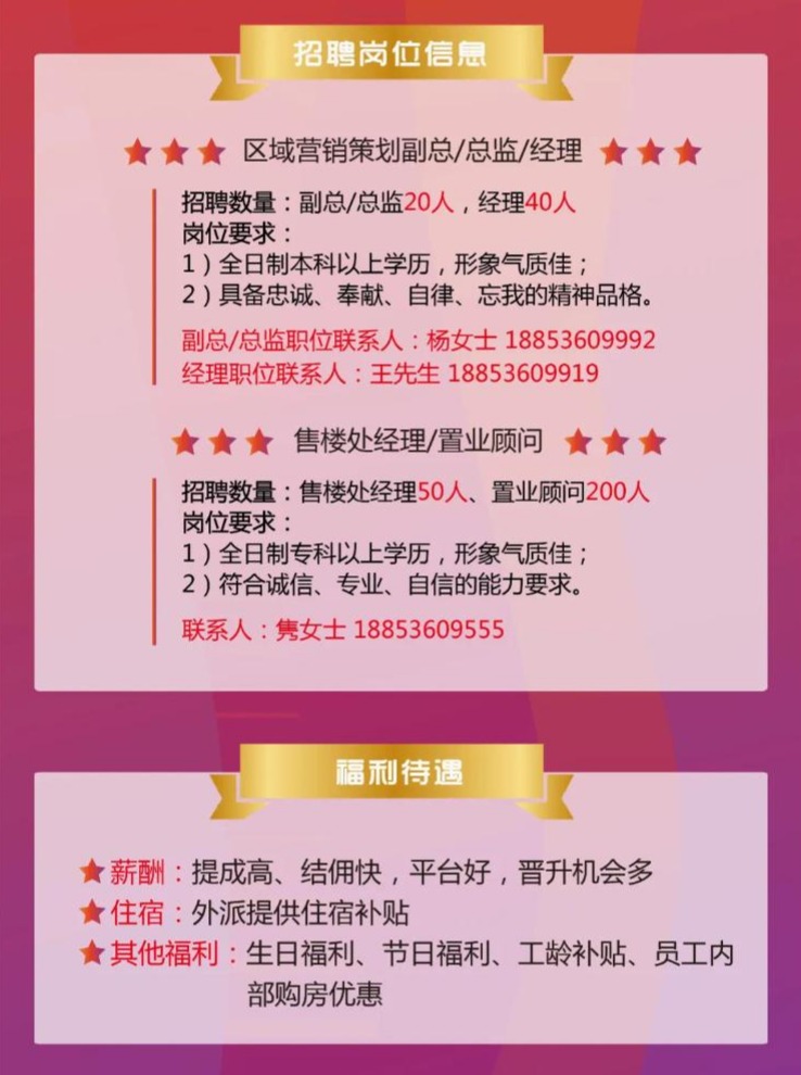 英德招聘网最新招聘动态全面解析