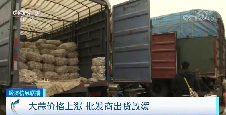 金乡大蒜最新价格与市场走势解析