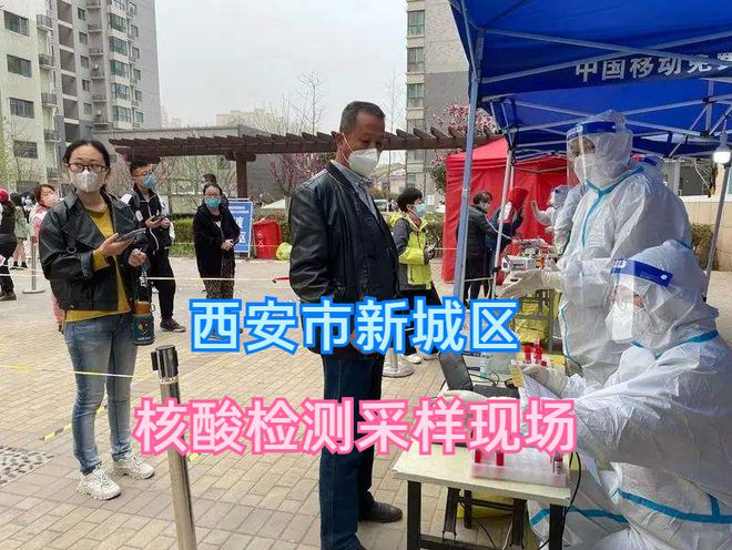 纪千柳 第2页