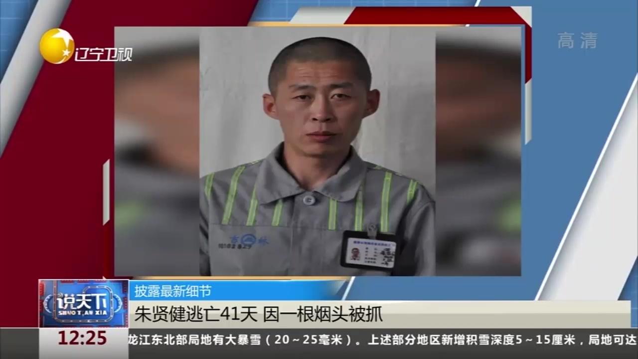 朱贤健最新消息全面解读