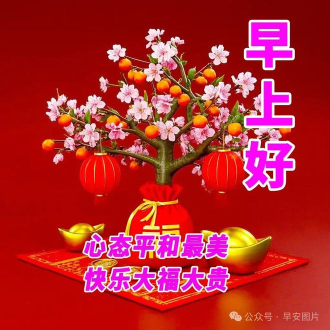 最新祝贺图片，传递喜悦与祝福的媒介