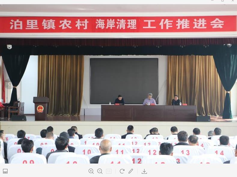 泊里镇最新动态深度解析