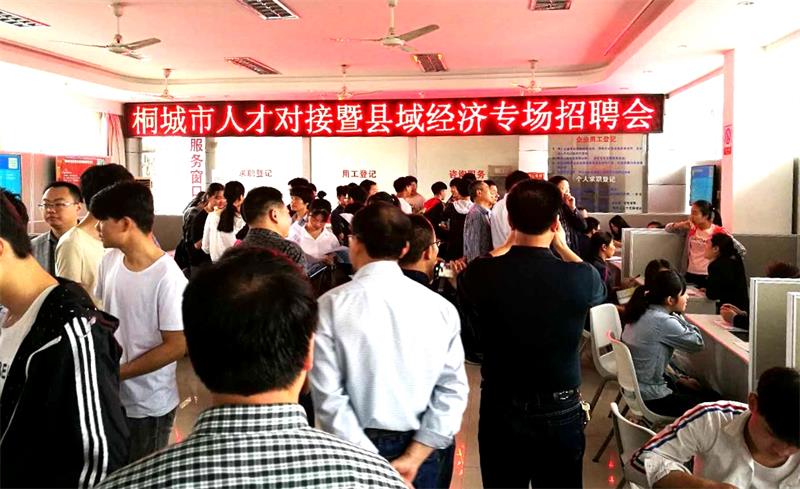 桐城网最新招聘信息网，求职招聘一站式新天地