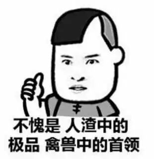 最新斗图表情，探索新时代的交流新风尚