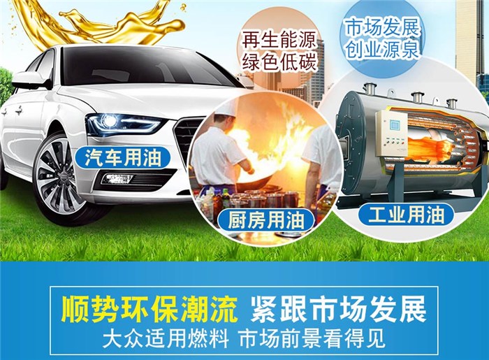 国新能源引领清洁能源转型，塑造可持续未来之道