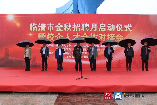 临清最新招工信息及其社会影响分析