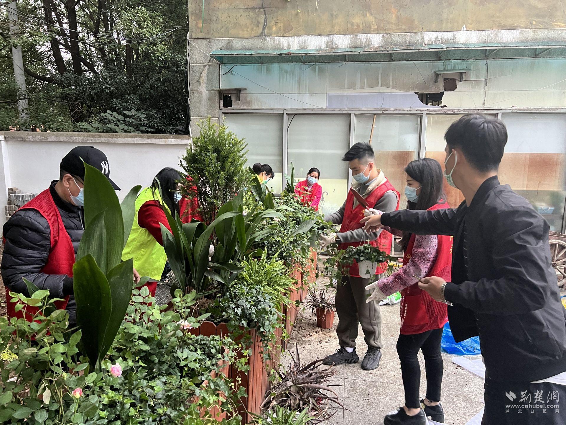 草馏社区最新动态与变迁概览