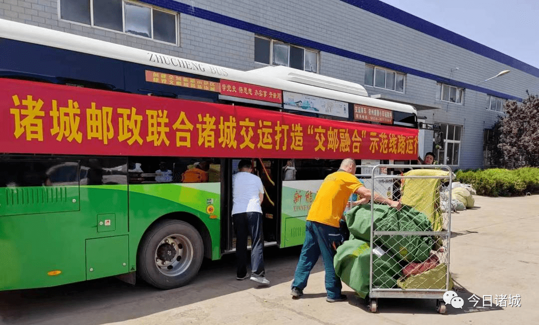 诸城贴吧，城市活力与民生热点的最新交汇点