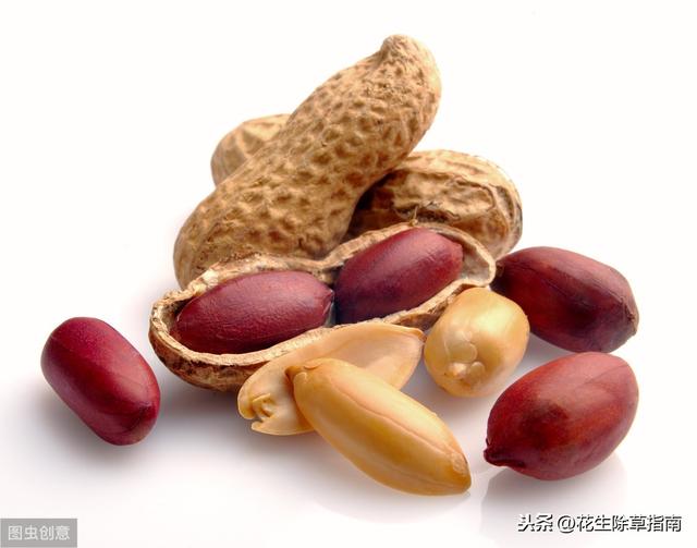 山东花生米价格动态分析与趋势预测