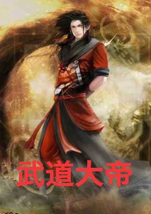 武道大帝最新动态及其深远影响