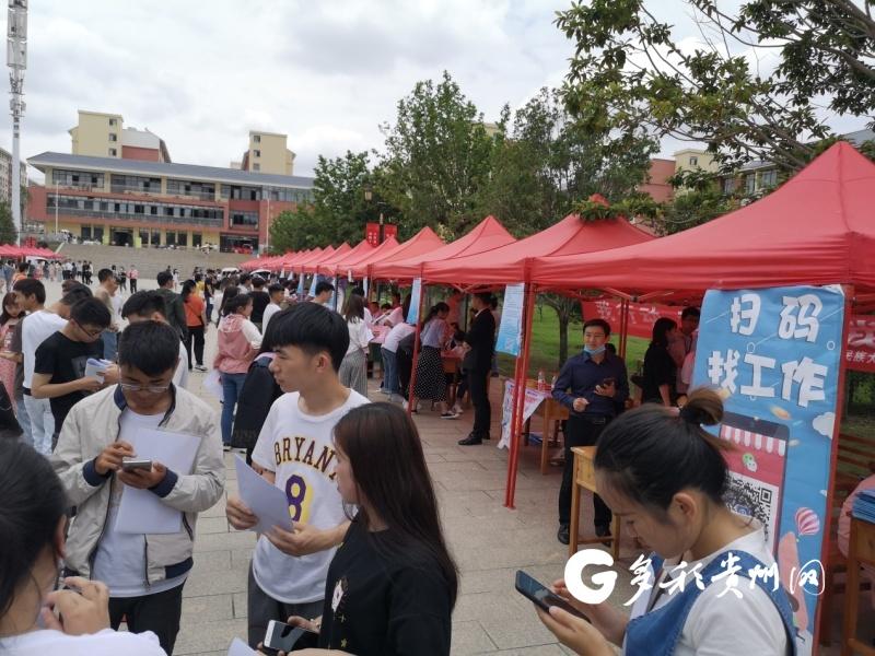 花溪最新招聘信息详解
