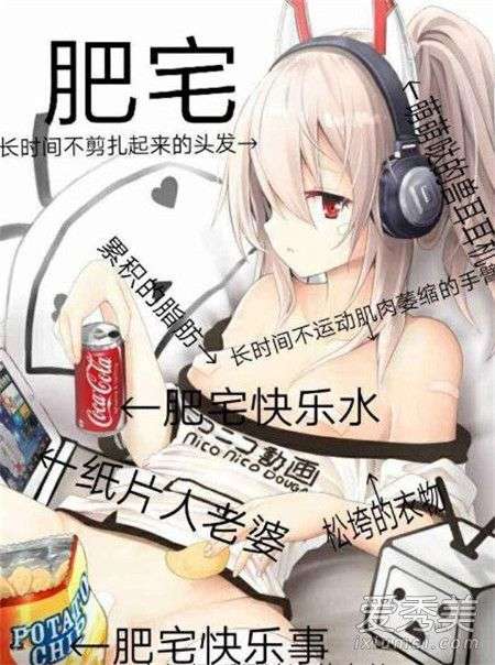 网络语最新趋势探索，启示与展望