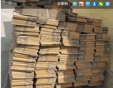 废纸价格最新动态及市场走势分析与预测报告