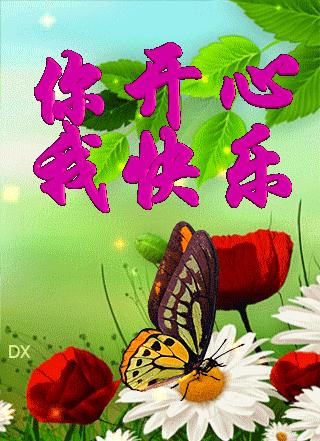 微信新功能重塑社交体验与商业价值探索