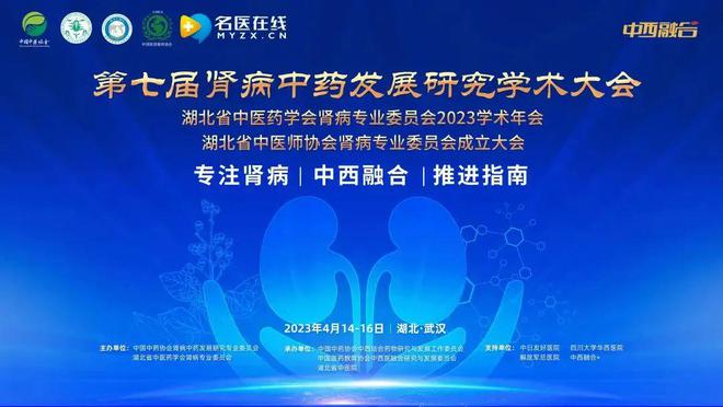 肾病最新研究成果揭秘，前沿进展与治疗方法探讨