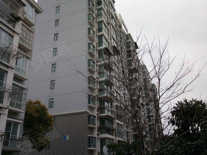 泰兴房屋最新出租信息汇总