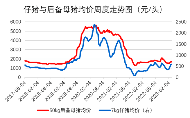 小猪仔价格最新动态分析，今日市场走势解析