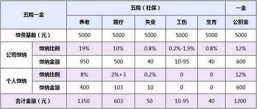 最新工资计算方法深度解析与应用实战