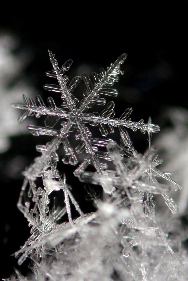 雪花的魅力，自然界的奇迹与人类的探索之旅