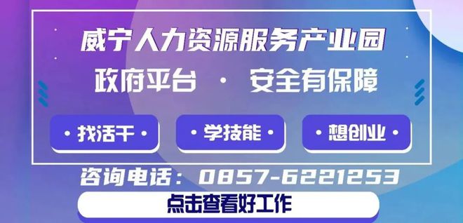 威宁招聘网最新招聘动态深度解析与解读