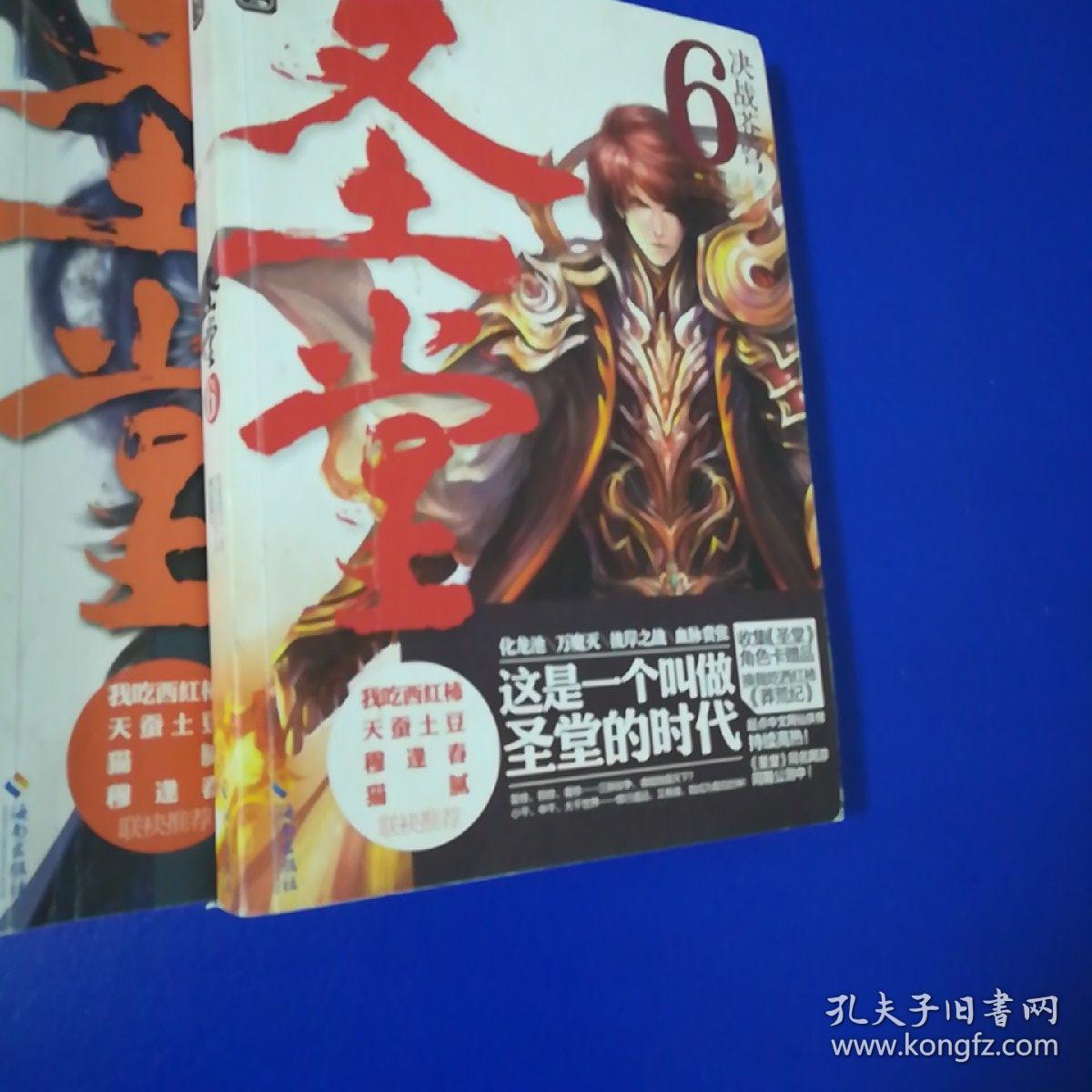 圣堂最新章节，神秘力量探索之旅