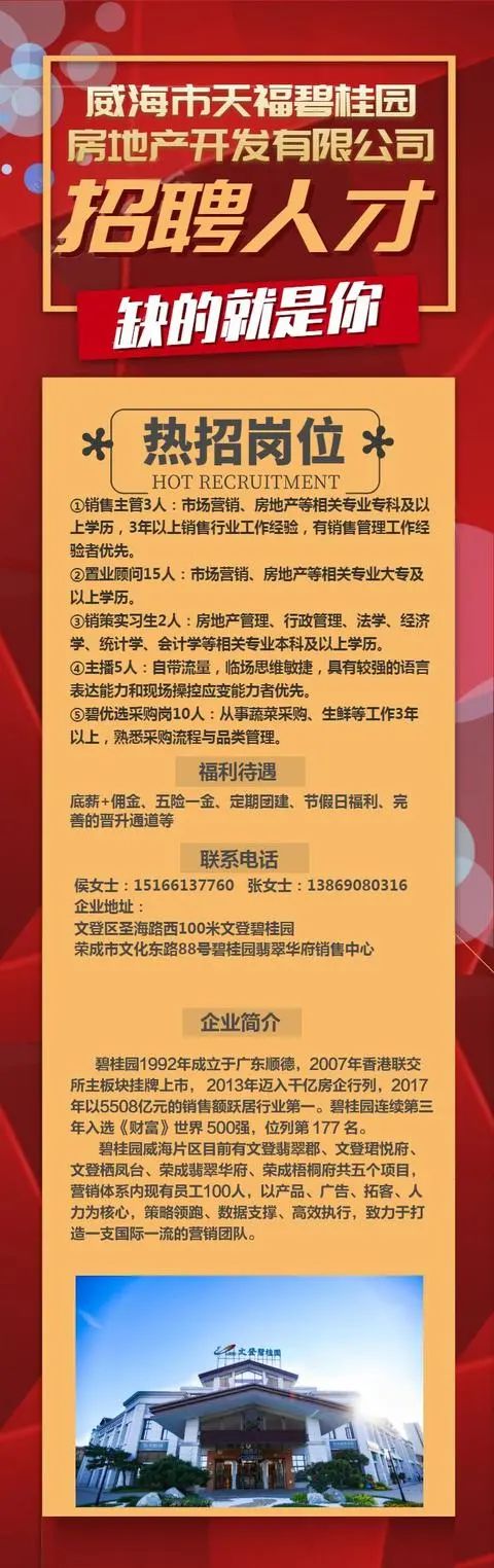 文登招聘网最新招聘动态全面解析