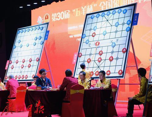 许银川最新直播，象棋高手的魅力与智慧解析