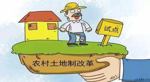 最新农村土地政策助力农业现代化与乡村振兴发展