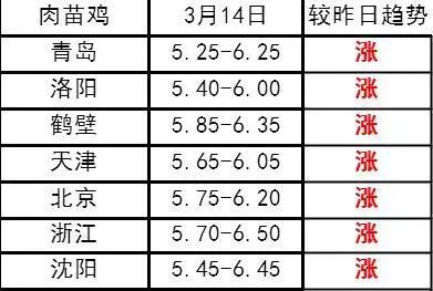 毛鸡最新价格动态解析报告