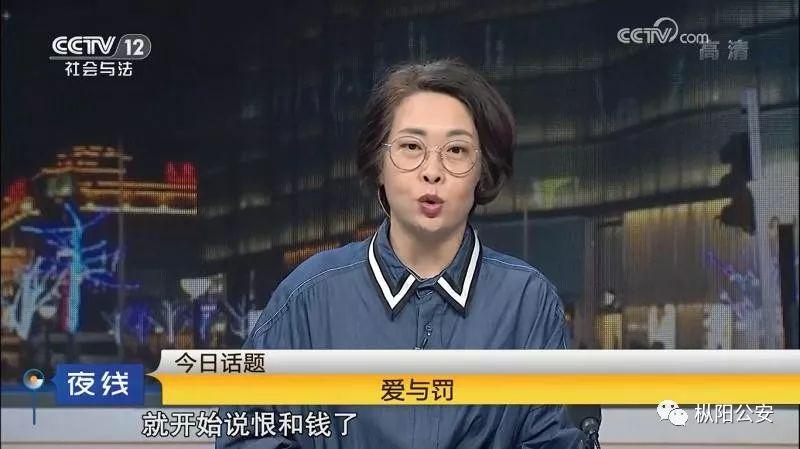 城市夜生活新篇章，深度解读夜线最新一期报道