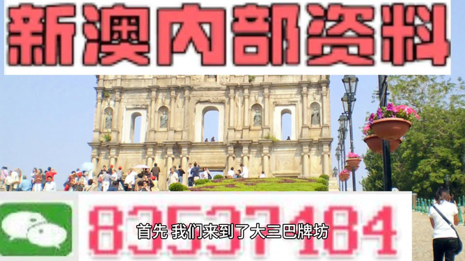 新澳门精准免费大全,灵活解析执行_精英版66.247
