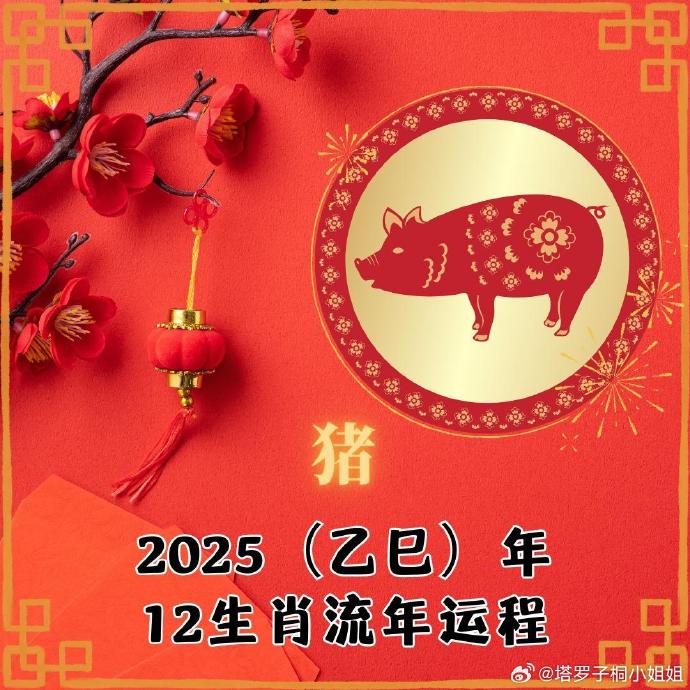 2025今晚开准确的生肖,快速计划设计解答_ChromeOS41.26