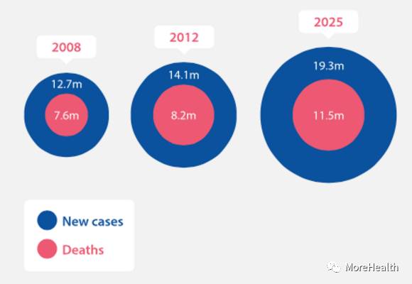 2025最新免费资料大全,实地数据验证分析_suite34.760