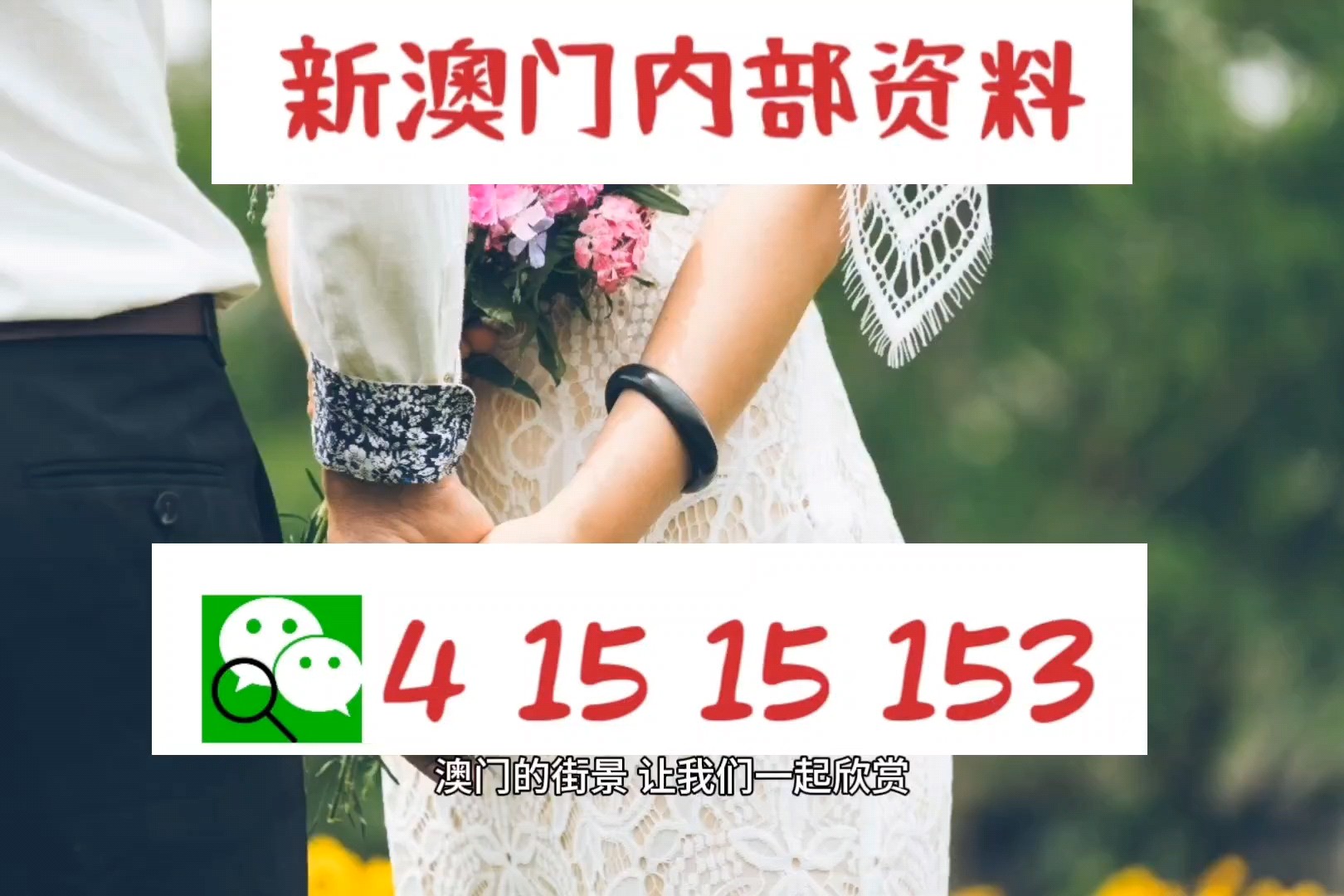 2025新澳门开码结果查询040期24-2-43-35-36-13T：31