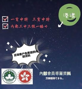 澳门精准一肖一码一一中,理性解答解释落实