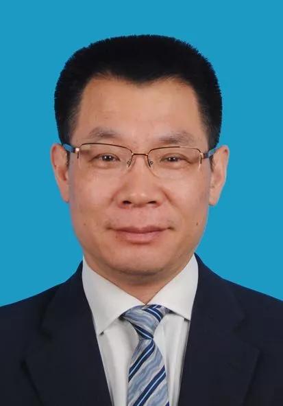 2024新奥正版资料大全｜灵活操作方案设计