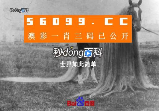 澳门一肖一码一必中一肖同舟前进,力度全面释义落实_CX版89.431
