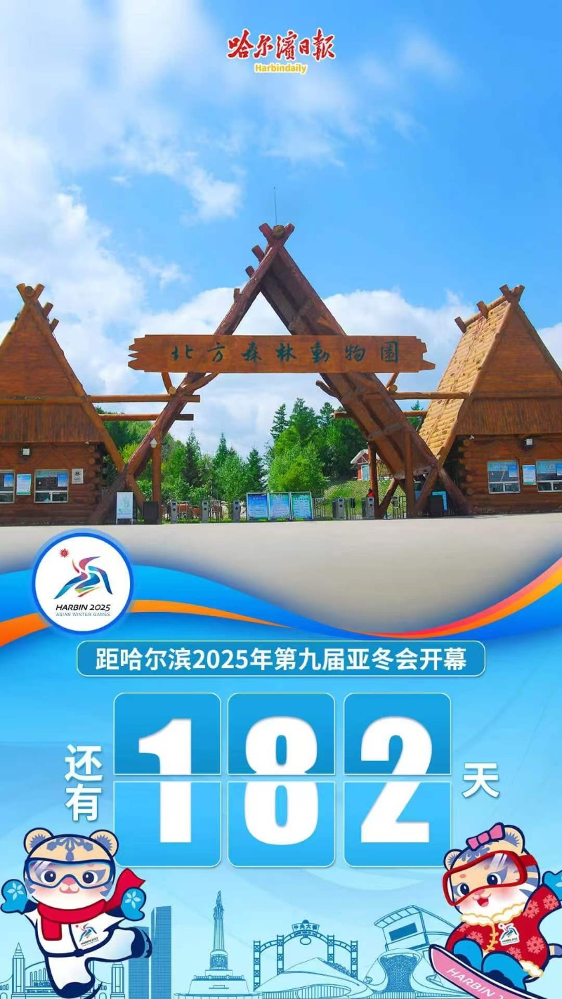 2025新澳天天开奖资料大全,灵活操作方案_Mixed66.182