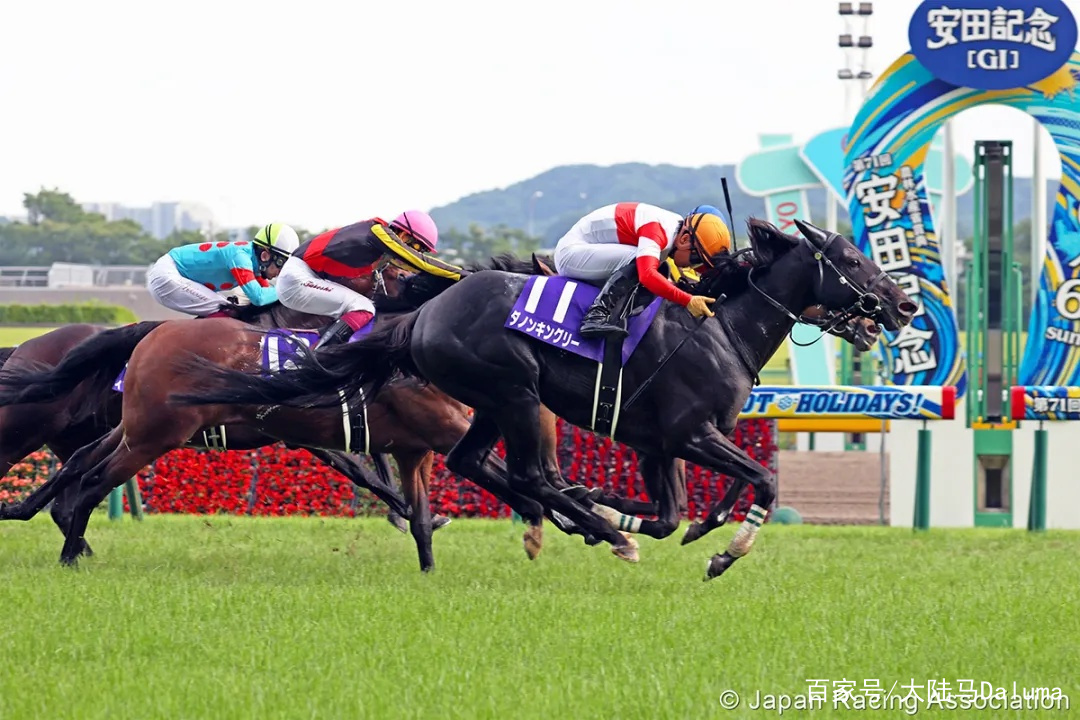 香港特马资料王中王040期17-30-18-5-25-49T：18