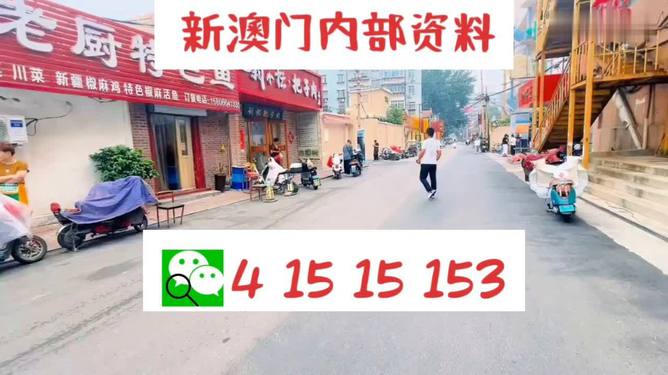 新澳门天天开好彩大全开奖记录,多样化策略执行