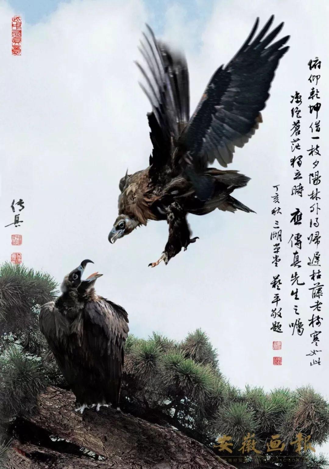 澳门传真图2025年,深度评估解析说明_P版82.689