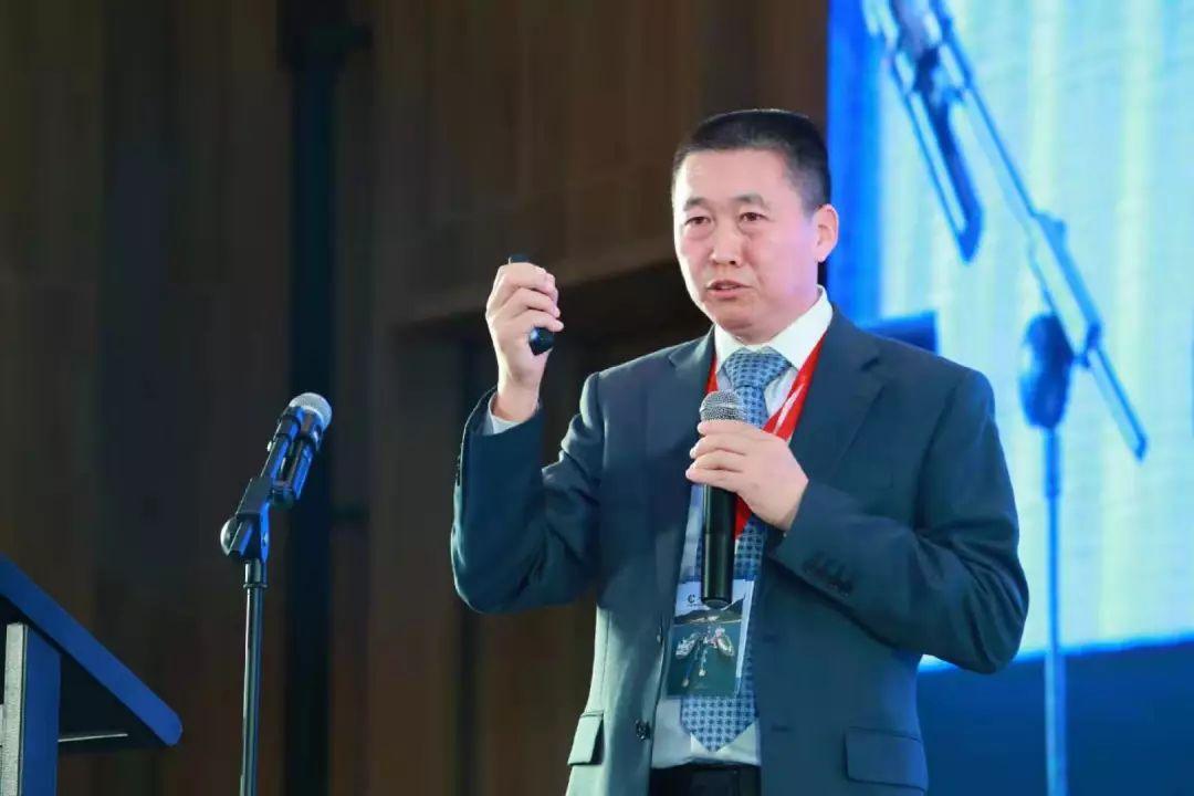 2025新奥最精准免费大全,动态说明解析_完整版68.168